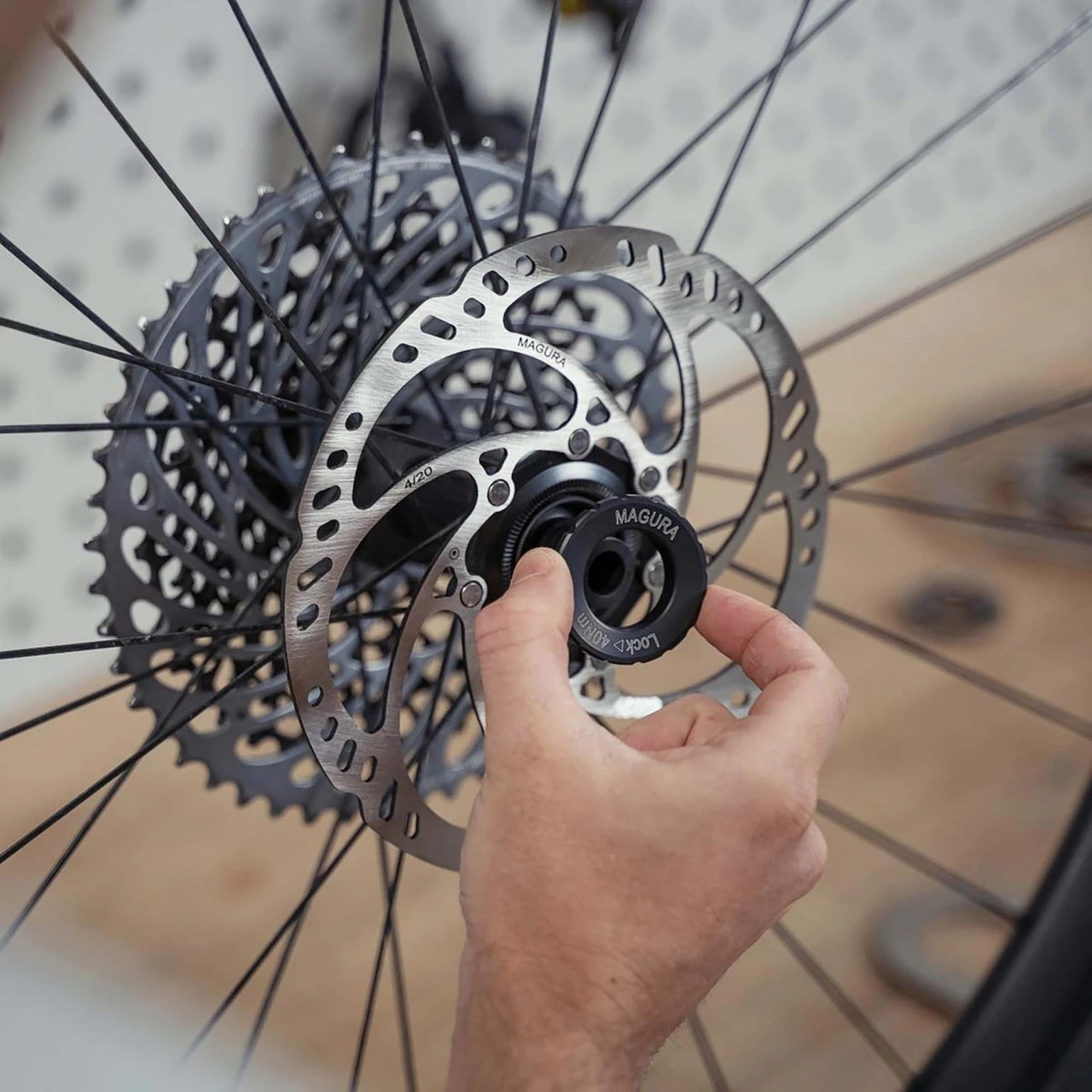 Magura Bremsscheibe MDR-C CL Ø 203 Mm 4 Magura Bremsscheibe MDR-C CL Ø 203 Mm – Bild 2