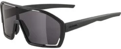 Alpina Sportbrille BONFIRE All Black Matt / Smoke