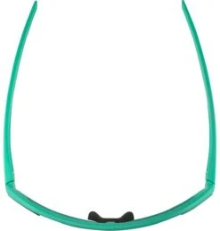 Alpina Sportbrille BONFIRE Turquoise Matt / Green -Fahrradbekleidungs Geschäft A8687 471 4 34793 1280x1280